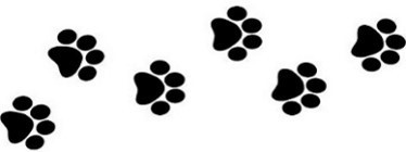 Dog_paws