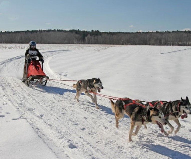 06DogSledDB